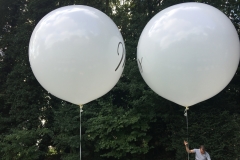 Hochzeitsdekoration Gigantballons